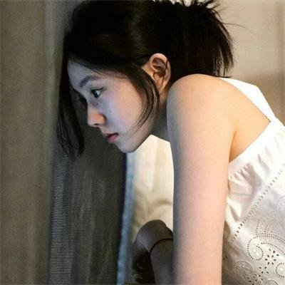 企鹅:极地追踪